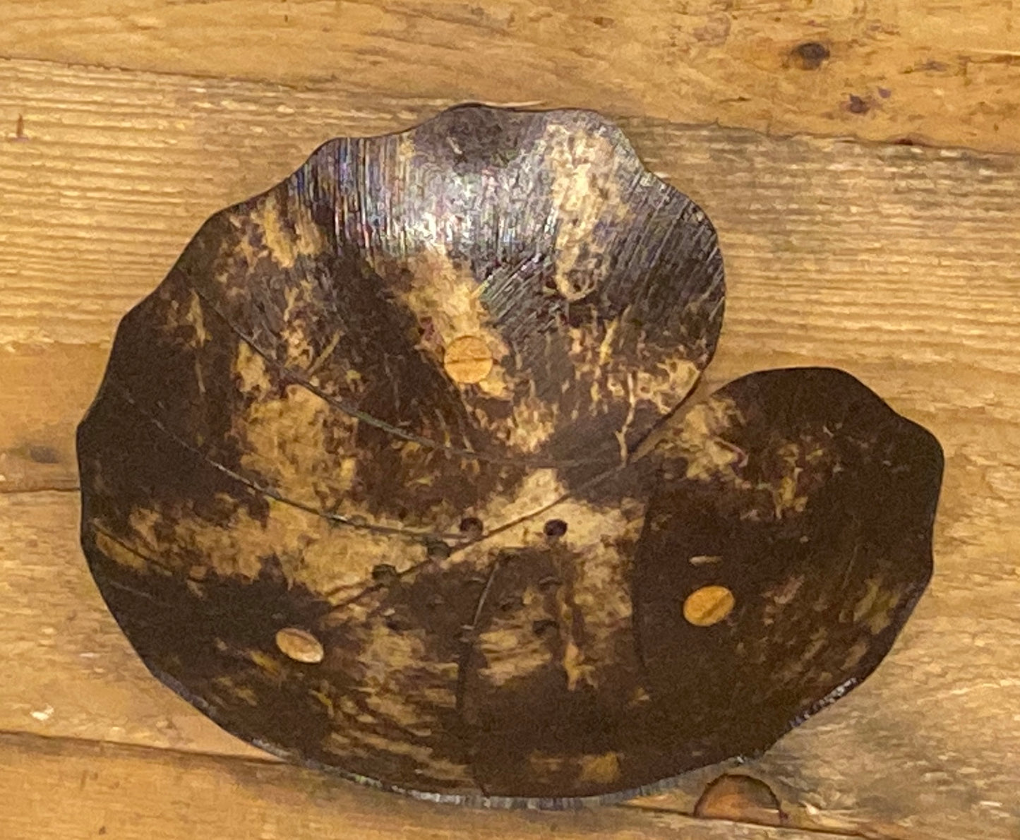 Hand Carved Recycled Coconut Shell Soap Dish - Variety of Shapes