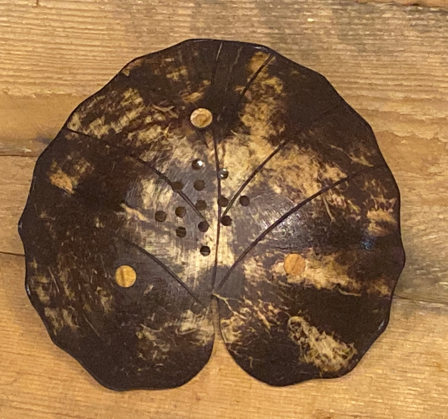 Hand Carved Recycled Coconut Shell Soap Dish - Variety of Shapes