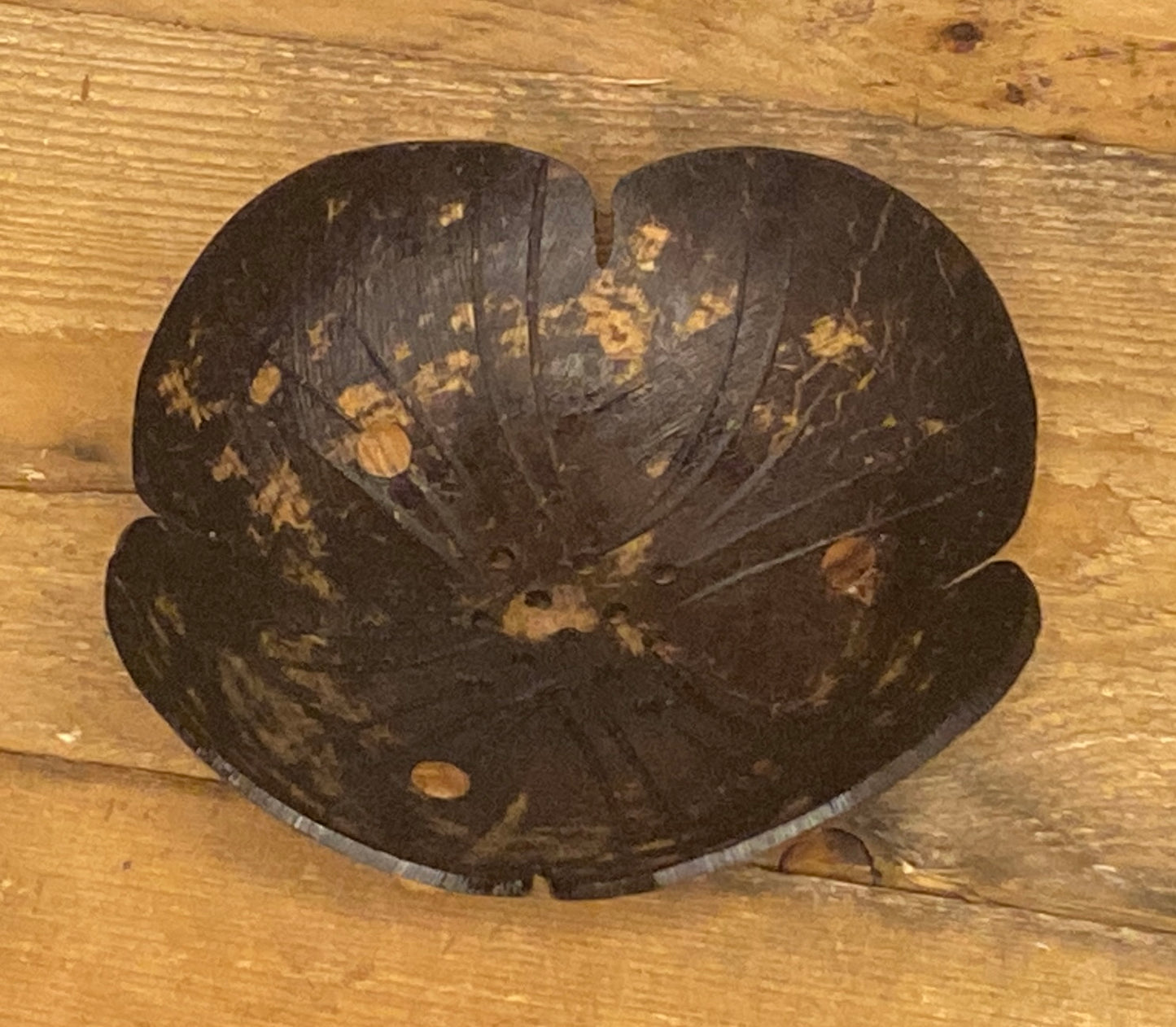 Hand Carved Recycled Coconut Shell Soap Dish - Variety of Shapes