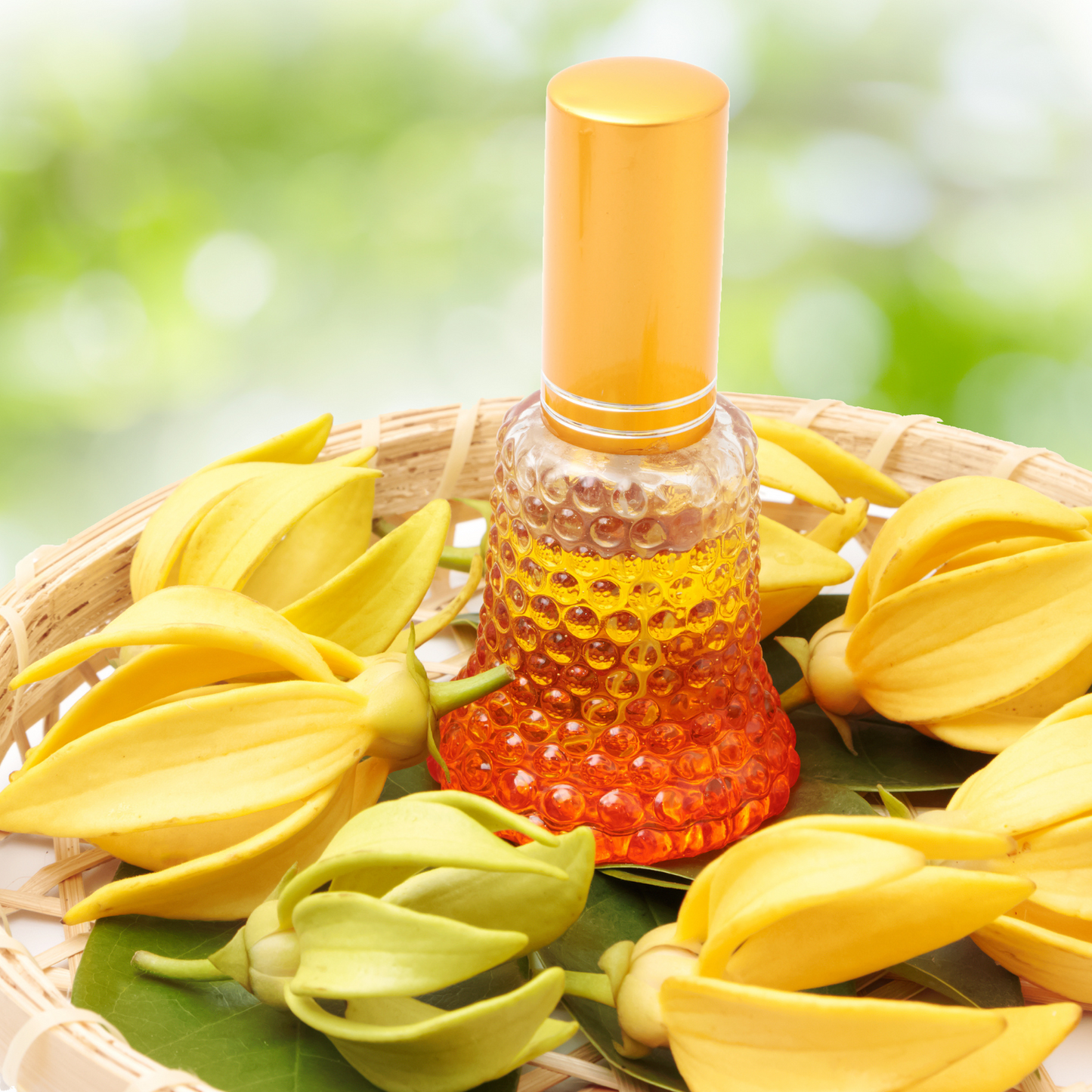 Facial Oil: Balance- Facial Oil for Acne Prone or Oily Skin